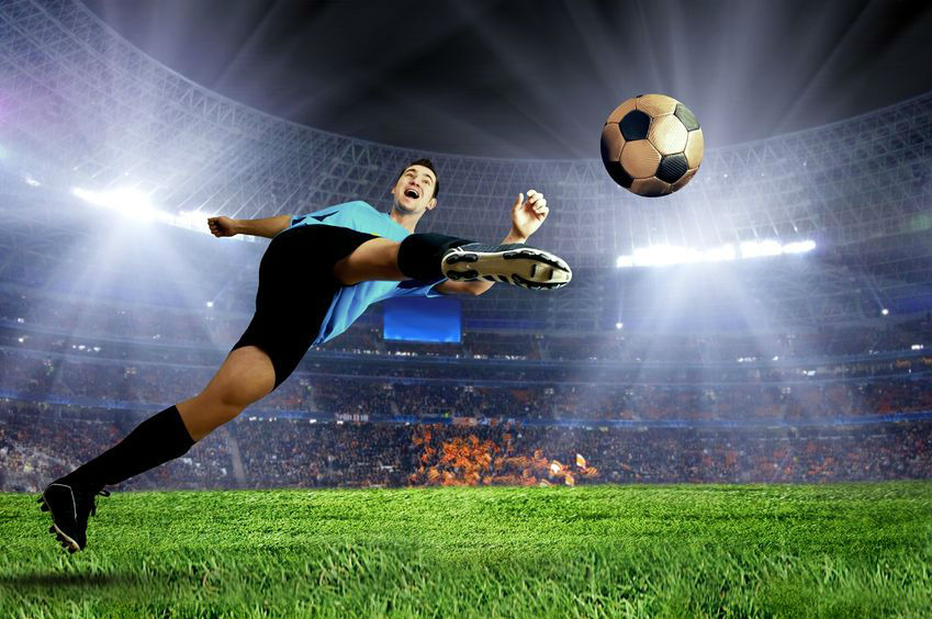 sports betting bot
